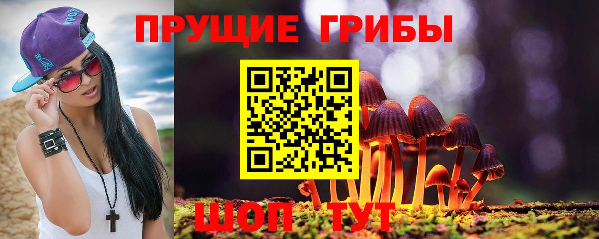 Архангельск  Псилоцибиновые грибы прущие грибы  Вход с VPN 