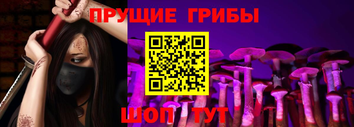 Псилоцибиновые грибы мухоморы Архангельск